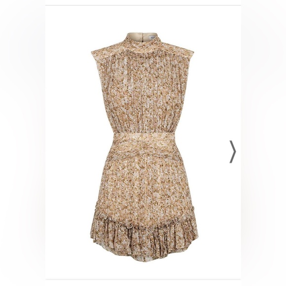 Shona Joy Ambar Sleeveless Ruched Mini Dress - Picture 3 of 8